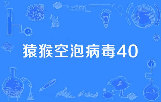 猿猴空泡病毒40