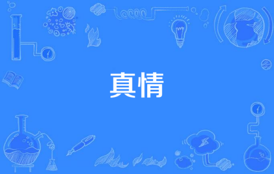 真情（湖北经视《情感大搜索》主题曲）
