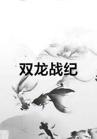 双龙战纪