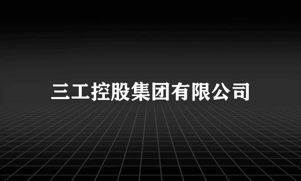 三工控股集团有限公司