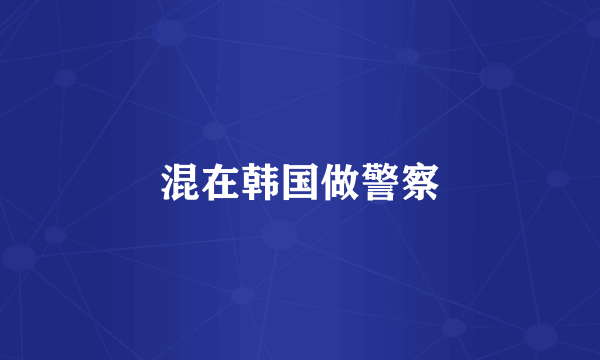 混在韩国做警察