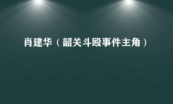 肖建华（韶关斗殴事件主角）