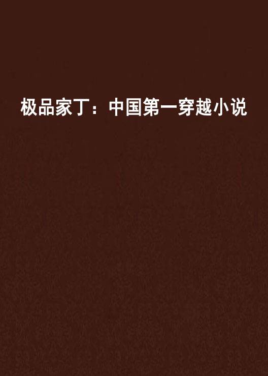 极品家丁：中国第一穿越小说