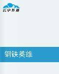 钢铁英雄（小说类型）