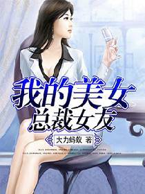 我的美女总裁女友（大力蚂蚁所著小说）