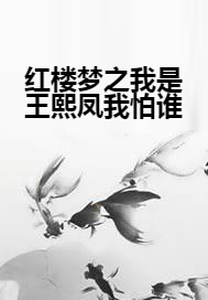 红楼梦之我是王熙凤我怕谁