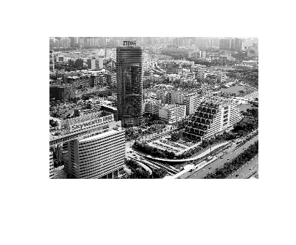 五个意识
