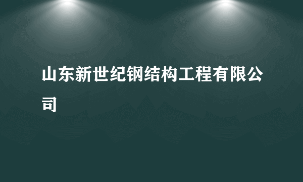 山东新世纪钢结构工程有限公司