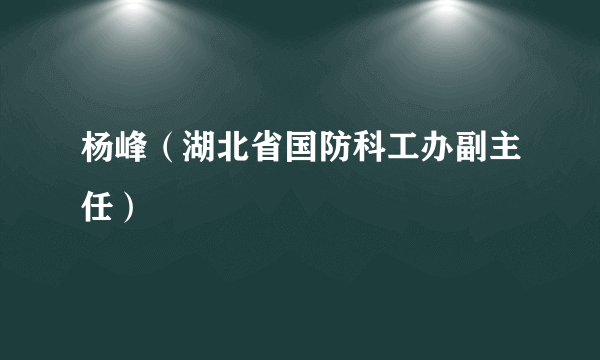 杨峰（湖北省国防科工办副主任）