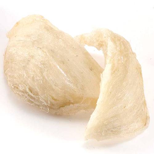 白燕盏