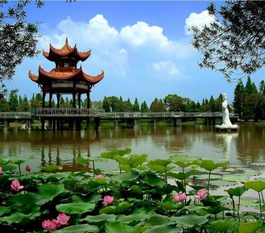 潜江水杉公园