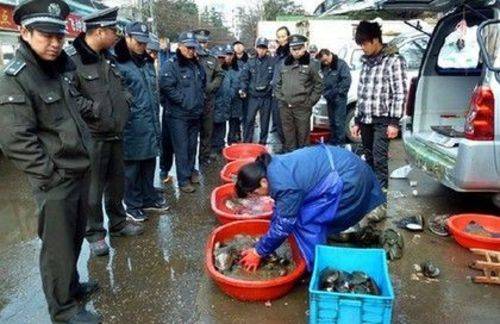 围观执法