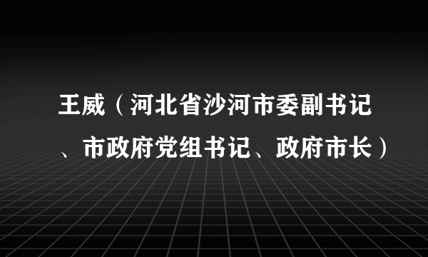 王威（河北省沙河市委副书记、市政府党组书记、政府市长）