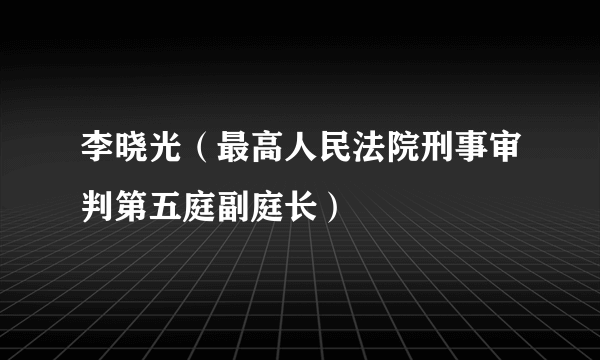李晓光（最高人民法院刑事审判第五庭副庭长）