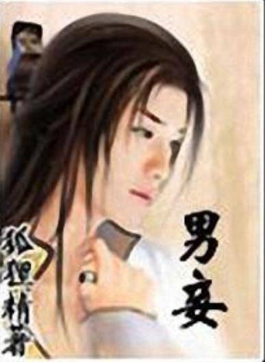 男妾（狐－狸－精所著小说）