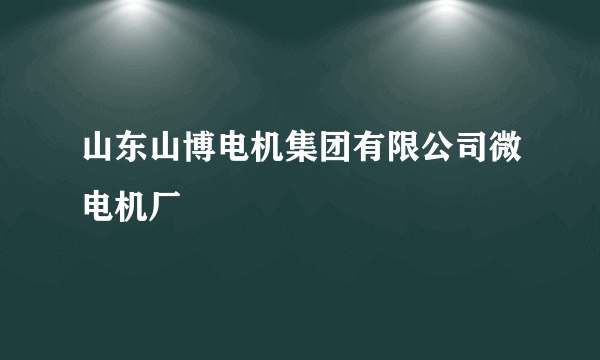 山东山博电机集团有限公司微电机厂