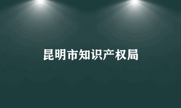昆明市知识产权局