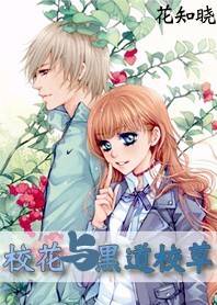 校花与黑道校草