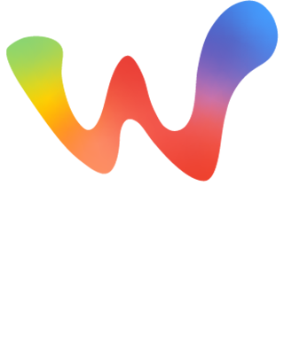 上海迈外迪网络科技有限公司