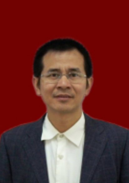 杨少华（沈阳理工大学教授）