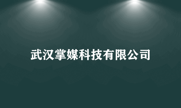 武汉掌媒科技有限公司