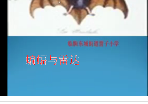 蝙蝠与雷达