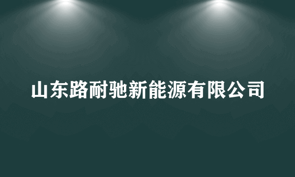 山东路耐驰新能源有限公司