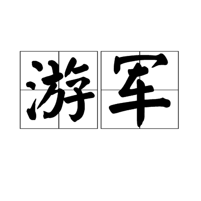 游军（军事用语）