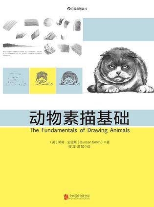 动物素描基础