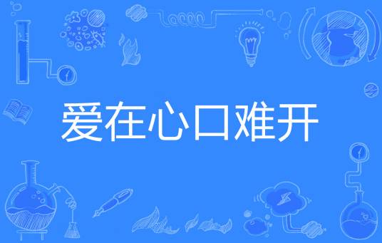 爱在心口难开（茴灰著网络小说）