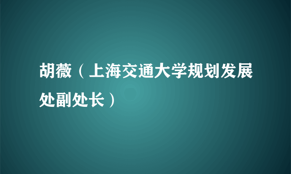 胡薇（上海交通大学规划发展处副处长）