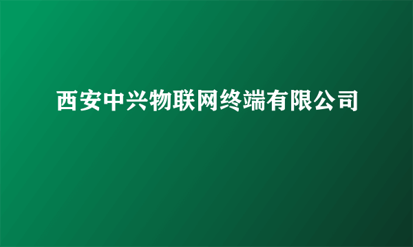 西安中兴物联网终端有限公司