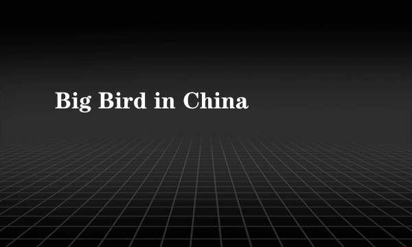 Big Bird in China