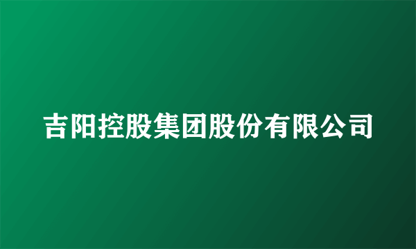 吉阳控股集团股份有限公司