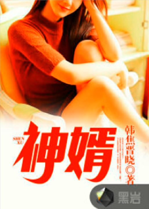 神婿（韩焦晋晓所著小说）