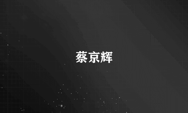 蔡京辉