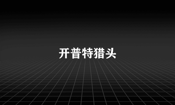 开普特猎头