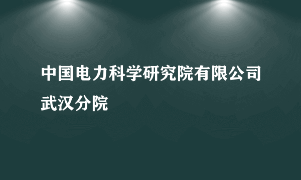 中国电力科学研究院有限公司武汉分院