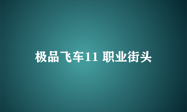 极品飞车11 职业街头