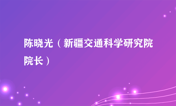 陈晓光（新疆交通科学研究院院长）