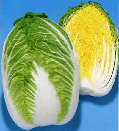 胶州大白菜