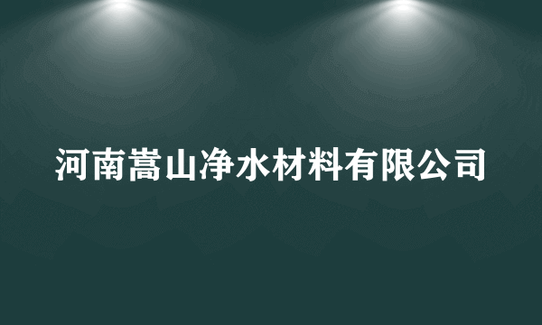 河南嵩山净水材料有限公司