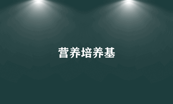 营养培养基