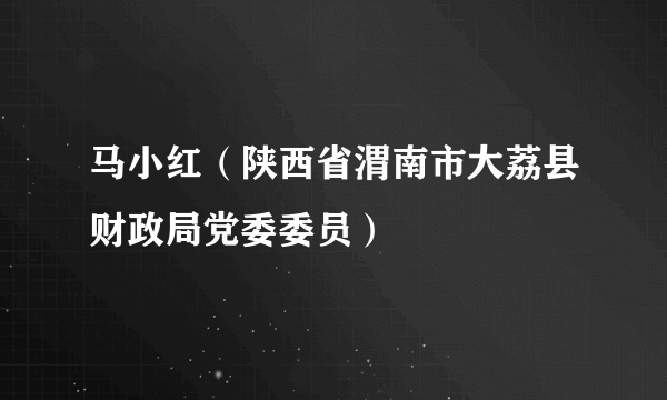 马小红（陕西省渭南市大荔县财政局党委委员）