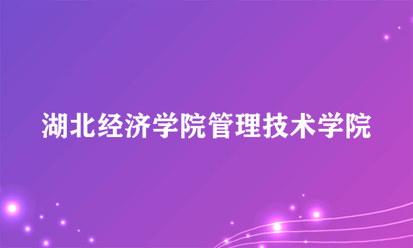 湖北经济学院管理技术学院