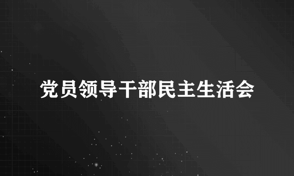 党员领导干部民主生活会