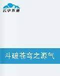 斗破苍穹之源气空间