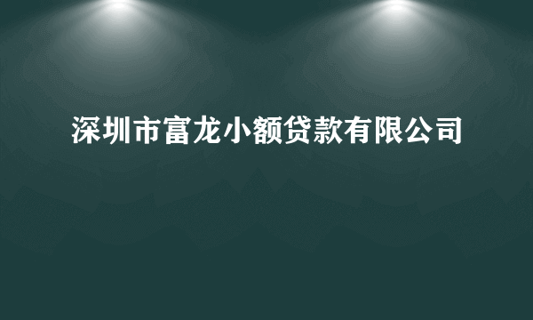 深圳市富龙小额贷款有限公司
