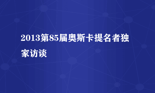 2013第85届奥斯卡提名者独家访谈