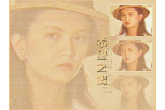 希望之鸽（1990年孙兴、曾华倩主演电视剧）